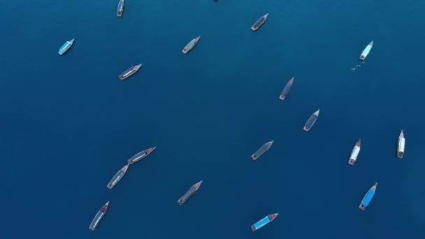 Top view traditional Dhow boats at Zanzibar on a clean blue ocean water — Stock Video