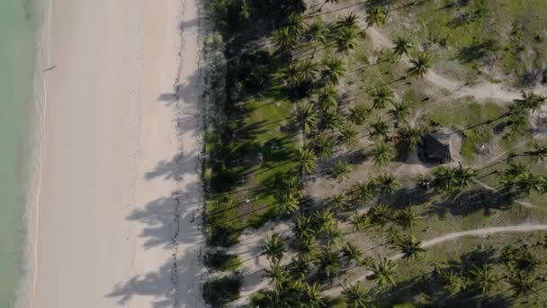 Vista aérea da linha de praia tropical Paraíso Paje na vista aérea da ilha de Zanzibar Oriental. Tanzânia, África — Vídeo de Stock