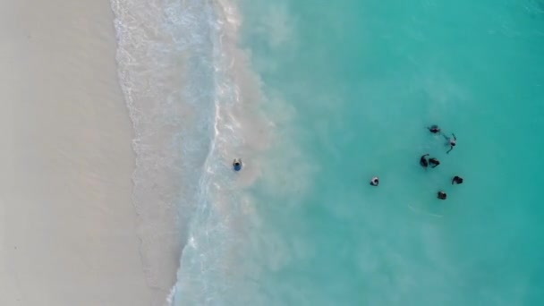 ZANZIBAR, TANZANIA - JANUARI 2020: Flygfoto av svarta afrikanska barn som simmar i det turkosa havet i Nungwi, Zanzibar Island, Tanzania, Afrika — Stockvideo