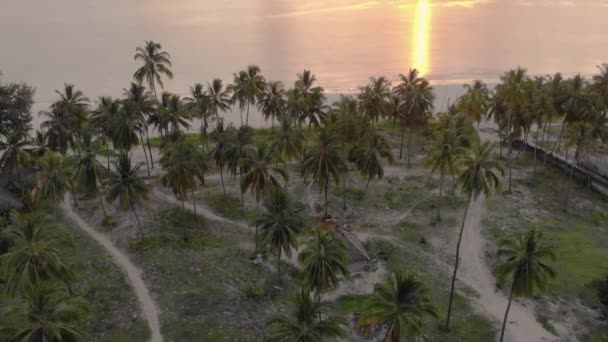 Doğu Zanzibar adasının tropik Paje sahilindeki Palmiye ağaçlarıyla çevrili çatıdaki barakanın havadan görünüşü. Tanzanya, Afrika — Stok video