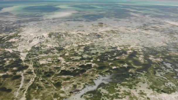 Flying Above the Shallow water on a low tide at Jambiani village. Local people, Dhow catamaran boats and Underwater seagrass Sea weed plantation. Jambiani, Zanzibar, Tanzania. — Stock Video