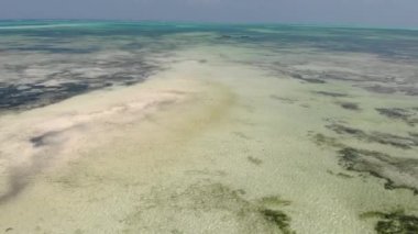 Su altı deniz yosunlarının hava görüntüsü. Jambiani, Zanzibar, Tanzanya.