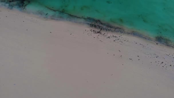 Vertikal panorama lutning antenn Skott av soluppgång ovanför turkosa havet i Zanzibar. — Stockvideo