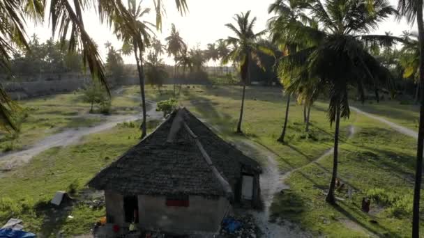 Vlieg tussen Palms Luchtfoto van de thatch overdekte hut Omringd met palmbomen bij Paradise tropische Paje strand op East Zanzibar eiland luchtfoto. Tanzania, Afrika — Stockvideo