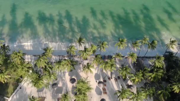 Vista aerea di Thatched tetto di lusso vista mare resort presso la bellissima costa dell'oceano di sabbia bianca a Paje a isola di Zanzibar, Tanzania — Video Stock