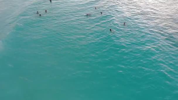 ZANZIBAR, TANZANIA - ENERO 2020: Vista aérea de niños negros africanos nadando en el océano turquesa en Nungwi, isla de Zanzíbar, Tanzania, África — Vídeo de stock