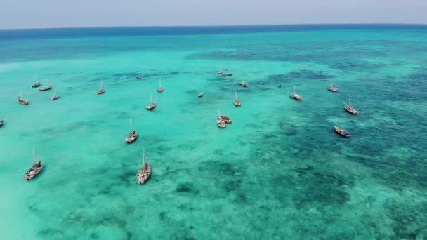Aerial Drone strzał na tradycyjnych łodzi Unguja Dhow w pobliżu pięknej tropikalnej linii brzegowej na Zanzibar. Plaża Nungwi w ciągu dnia z niebieskim turkusowym Oceanem Indyjskim — Wideo stockowe