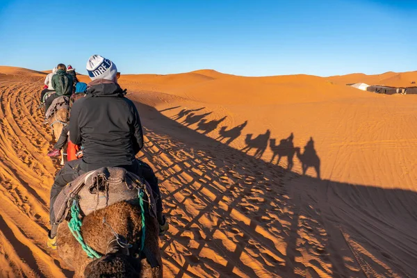 Deelnemen aan Camel caravan tour in Sahara woestijn, Marokko — Stockfoto