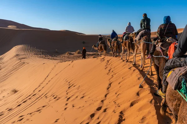 Deelnemen aan Camel caravan tour in Sahara woestijn, Marokko — Stockfoto