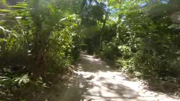 POV Action Cámara de fotos de la conducción de motos por las carreteras forestales tropicales africanas en la isla de Pemba, archipiélago de Zanzíbar. Tanzania, África Oriental . — Vídeos de Stock