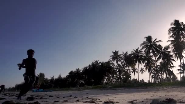 Fiatal Vonzó Izom és Erős Atlétikai Fekete Afrikai Férfi Képzés Akrobatika és Ugráló Torna A Fehér Homok Beach Performance — Stock videók