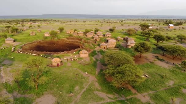 Πυροβολισμός από εναέριο drone. Παραδοσιακό χωριό Masai στο Sunset time κοντά στην Αρούσα, Τανζανία. — Αρχείο Βίντεο