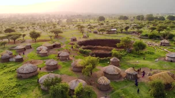 Drohnenschuss aus der Luft. Traditionelles Massai-Dorf bei Sonnenuntergang in der Nähe von Arusha, Tansania. — Stockvideo