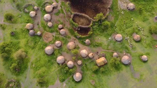 Flygdrönare skjuten. Traditionell Masai by vid solnedgången nära Arusha, Tanzania. — Stockvideo