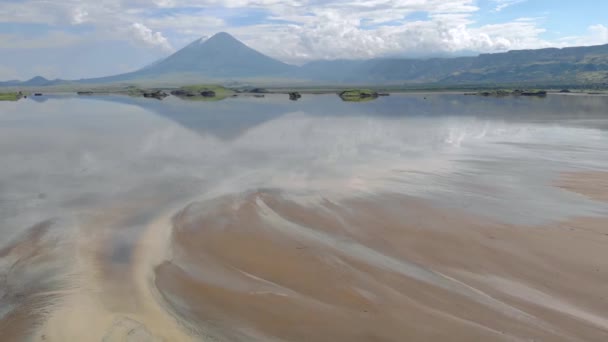 タンザニアのリフトバレーを背景に火山があるナトロン湖のピンク小フラミンゴ — ストック動画