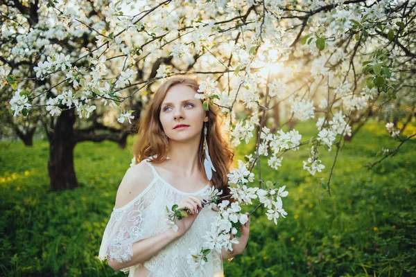 Dívka v jabloňový sad — Stock fotografie