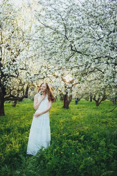 Dívka v jabloňový sad — Stock fotografie