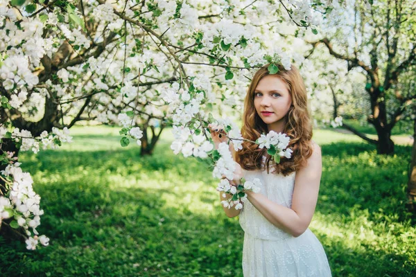 Dívka v jabloňový sad — Stock fotografie