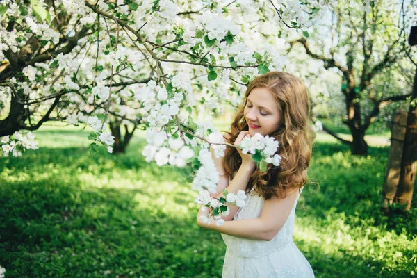  Bir kız bir elma bahçesi