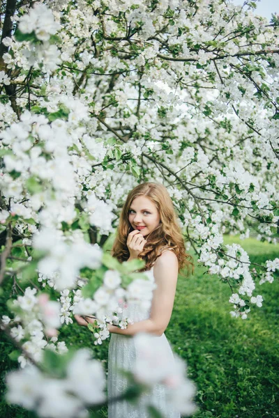 Dívka v jabloňový sad — Stock fotografie