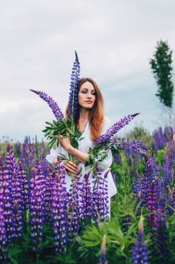 Beyaz elbiseli bir kız lupines arasında duruyor