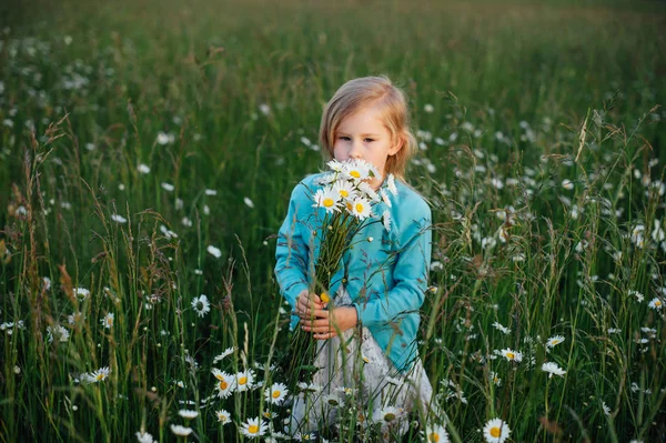Bir papatya alandaki küçük kız
