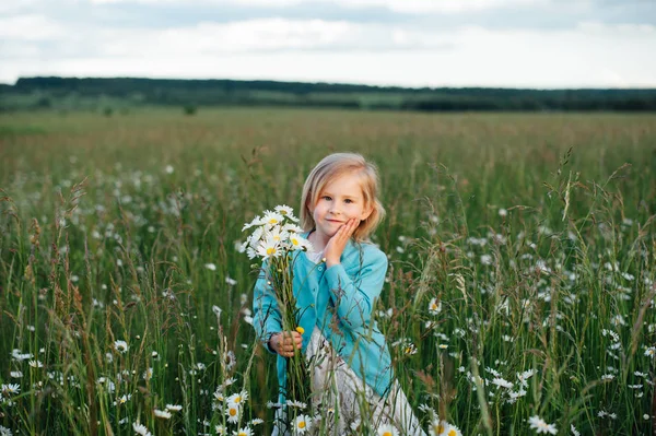 カモミール フィールドの小さな女の子 — ストック写真