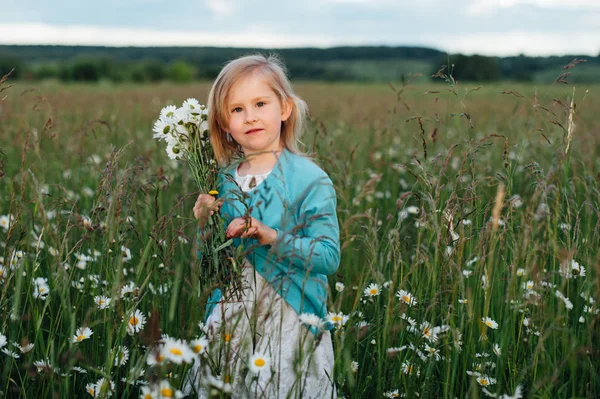 Bambina in un campo di camomilla — Foto Stock