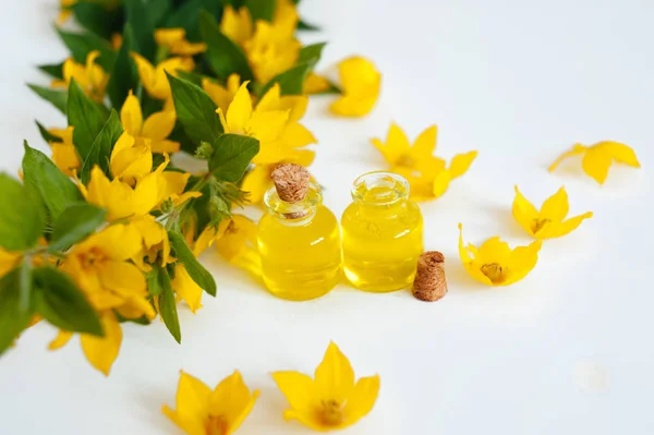 Yellow Beautiful Flowers Lie White Background — Stock Photo, Image