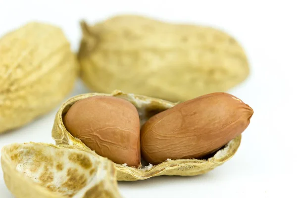 Peanut Seed Placed White Background — Stock Photo, Image