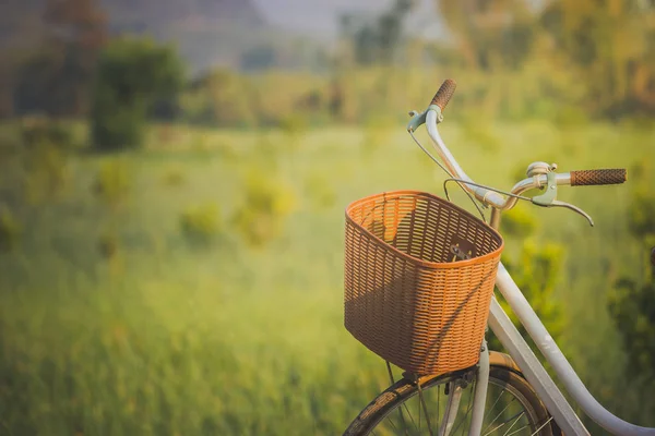 Bicycle Parked Way Morning Sunlight Organic Vegetable Farms Mountains Background — Stock Photo, Image