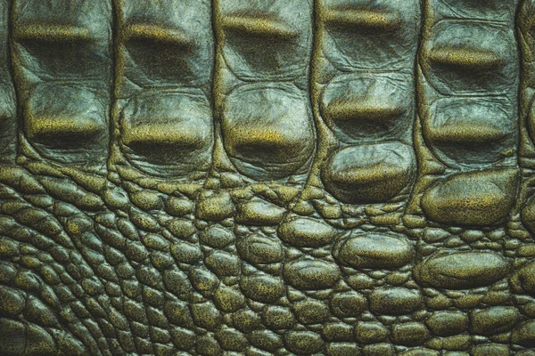 Zbliżenie Tekstury Skóry Skóry Krokodyla Nadaje Się Użytku Tle Moda — Zdjęcie stockowe