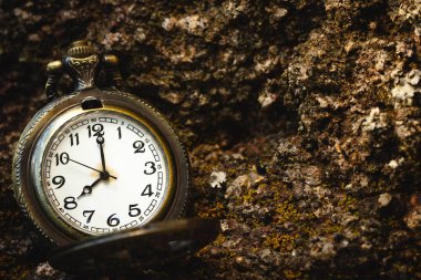 Vintage old pocket watch placed on the rock in forest.