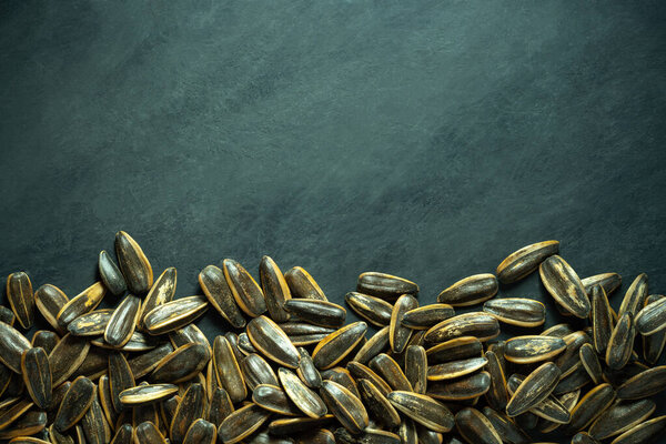 Sun flower seeds on black cement background. Top view and copy space for text. Concept of agriculture and organic farm.