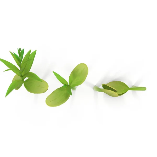 Photorealistic Highly Detailed Visualization Sprout Different Stages Growth Render — Stock Photo, Image