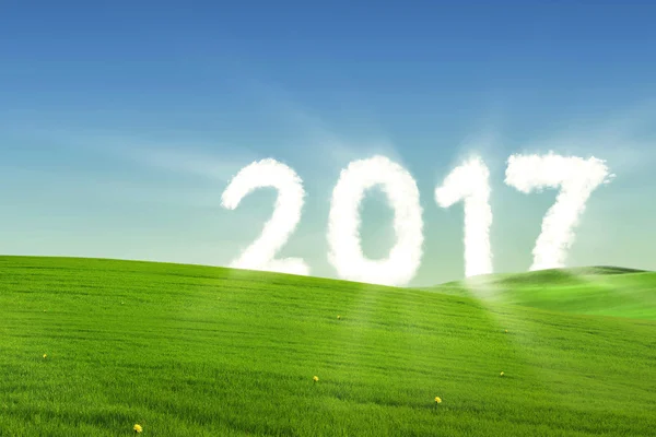 Número brillante 2017 en el prado medio — Foto de Stock