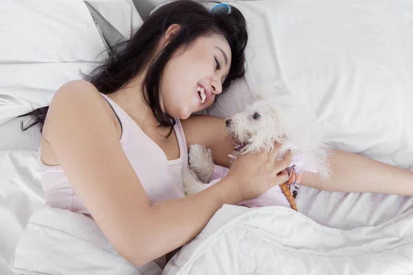 Vrouw en maltese hond in het bed — Stockfoto