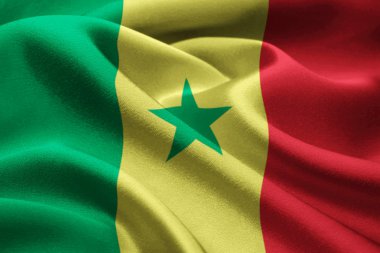 senegal Cumhuriyeti bayrağı