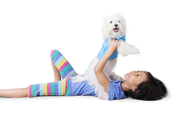 Kleines Mädchen spielt mit einem maltesischen Hund — Stockfoto