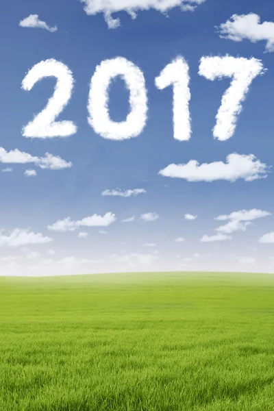 Felhő alakú szám 2017 a réten — Stock Fotó