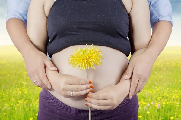 Pregnant tummy and flower in meadow — Stock Photo, Image