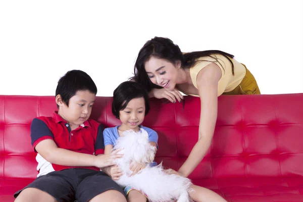 Mother and children playing with dog — Stock Photo, Image