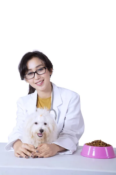 獣医師採用マルチーズ犬のスタジオ — ストック写真