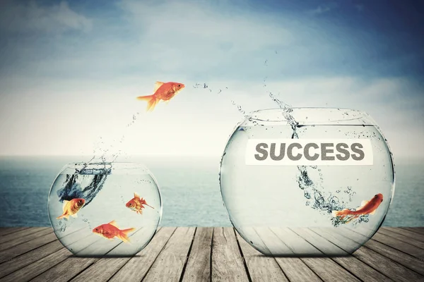 Goldfish saltando para o aquário de sucesso — Fotografia de Stock