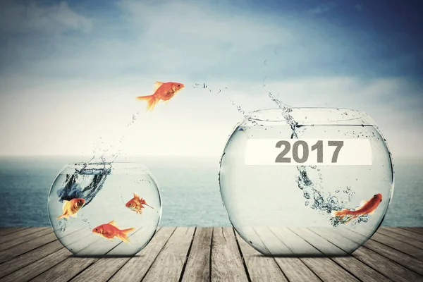 Goldfish movendo-se para aquário maior com 2017 — Fotografia de Stock