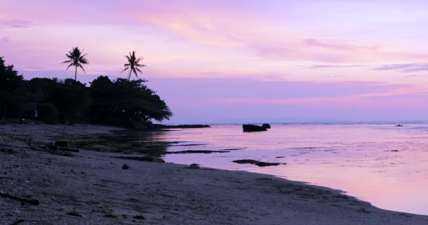 Bellissimo paesaggio sulla spiaggia al tramonto — Video Stock