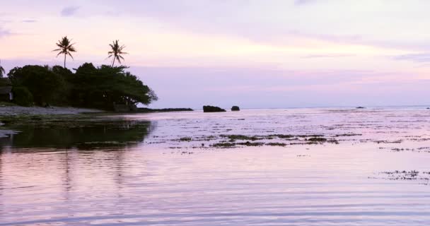 Belo panorama na praia ao pôr-do-sol — Vídeo de Stock