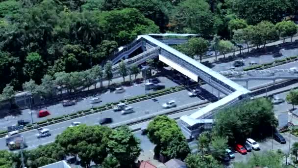 Fußgängerbrücke und Bäume in Jakarta — Stockvideo