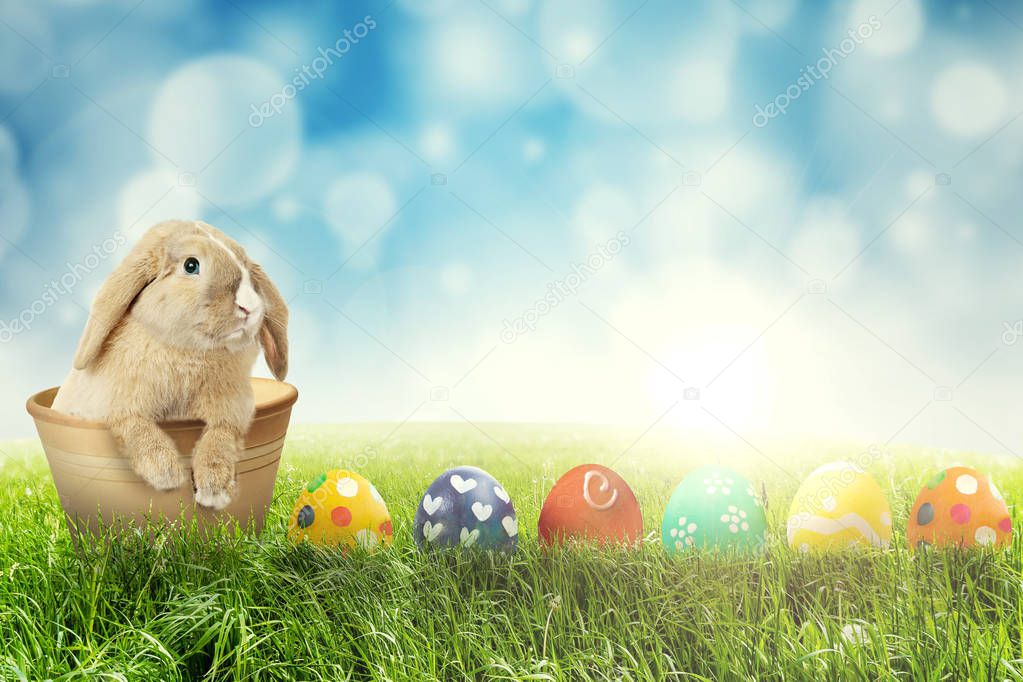 Easter rabbit with Easter eggs on grass