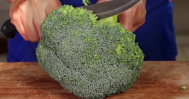 Handen snijden rauwe broccoli — Stockvideo